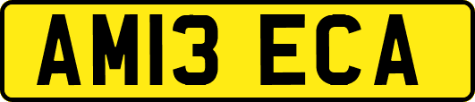 AM13ECA