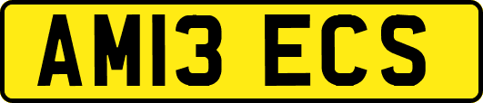 AM13ECS