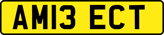 AM13ECT