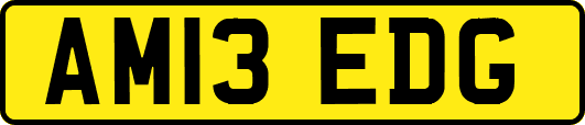 AM13EDG