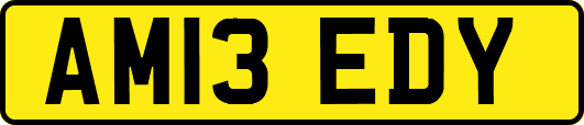 AM13EDY