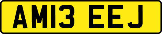 AM13EEJ