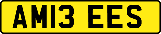 AM13EES