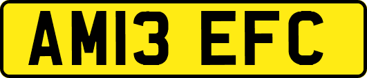 AM13EFC