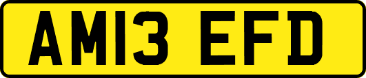 AM13EFD