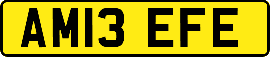 AM13EFE