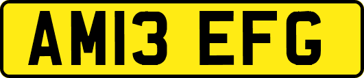 AM13EFG