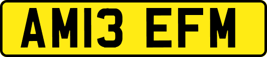 AM13EFM