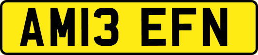 AM13EFN