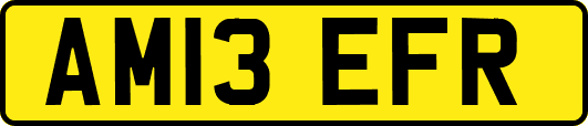 AM13EFR