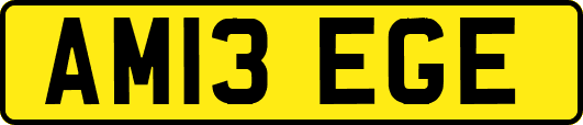 AM13EGE