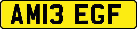 AM13EGF