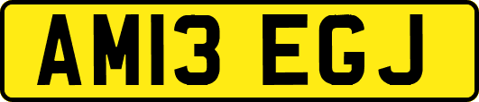 AM13EGJ