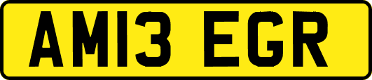 AM13EGR
