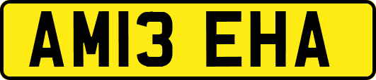 AM13EHA