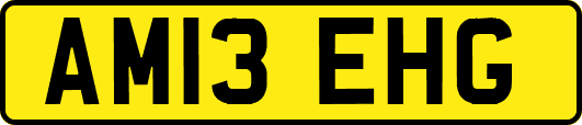 AM13EHG
