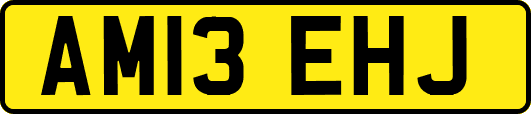 AM13EHJ