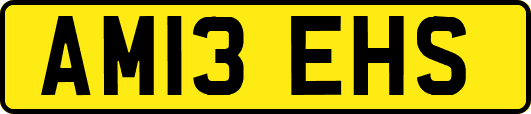 AM13EHS