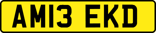 AM13EKD