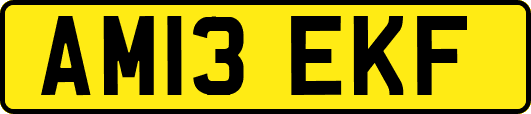 AM13EKF