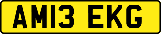 AM13EKG