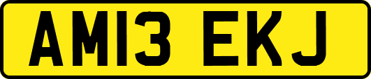 AM13EKJ