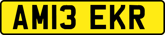 AM13EKR