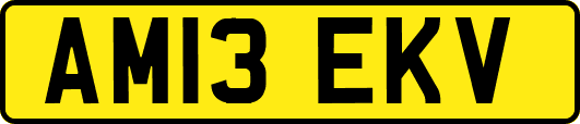 AM13EKV