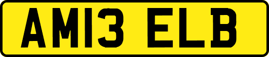 AM13ELB