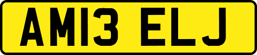 AM13ELJ