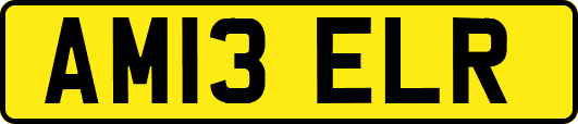 AM13ELR