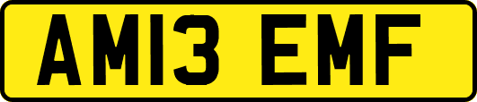 AM13EMF
