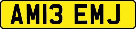AM13EMJ