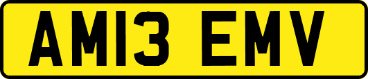 AM13EMV