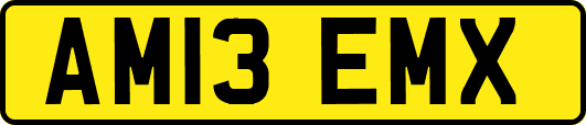 AM13EMX