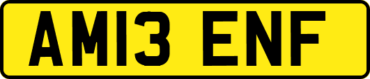 AM13ENF
