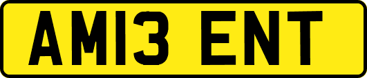 AM13ENT