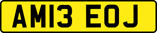 AM13EOJ