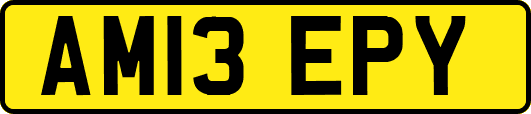 AM13EPY