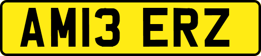 AM13ERZ