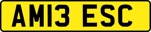 AM13ESC