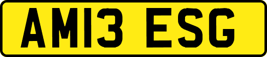 AM13ESG