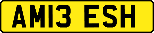 AM13ESH