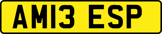 AM13ESP