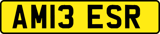 AM13ESR