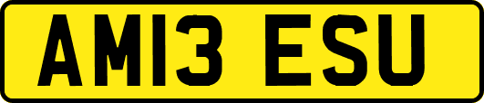 AM13ESU