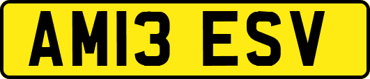 AM13ESV