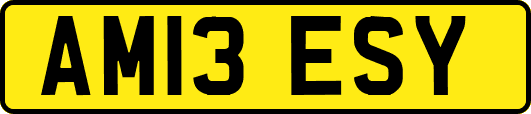 AM13ESY