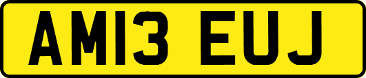 AM13EUJ