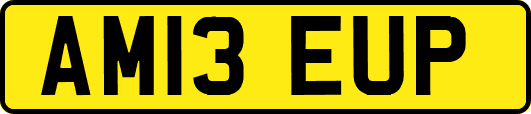 AM13EUP